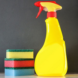 house cleaning startups spain