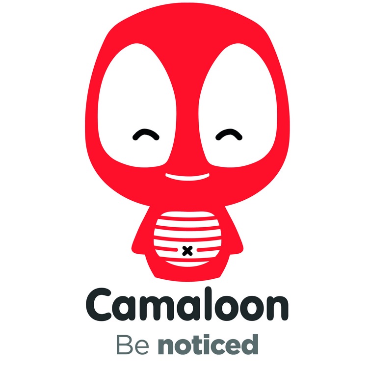 camaloon investment