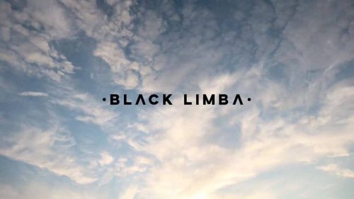 spanish lingerie startup black limba